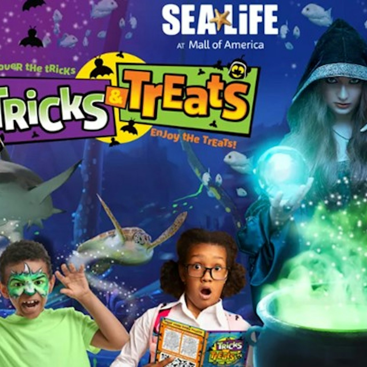 SEA LIFE at Mall of America Tickets - Photo 1 of 15